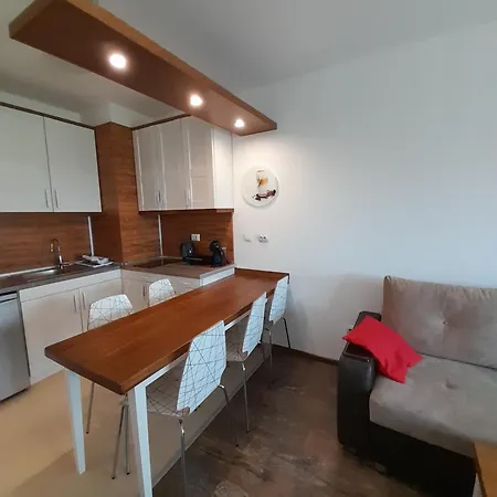 Belvedere Club H79 Banszko