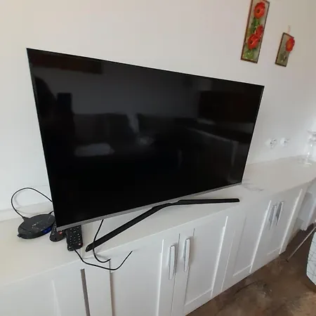 Belvedere Club H79 *