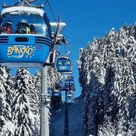 Belvedere Club H79 * バンスコ