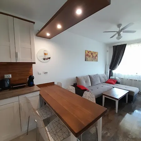 Belvedere Club H79 *