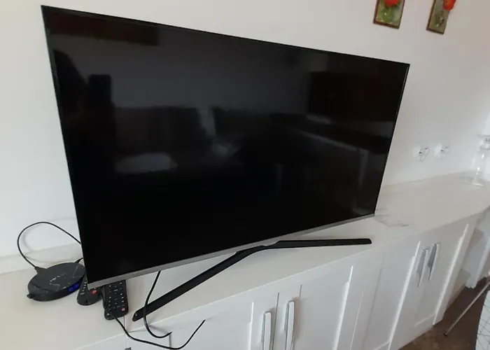 Belvedere Club H79 *