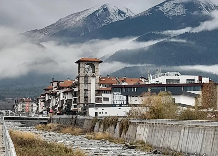 Belvedere Club H79 *